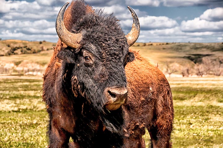 The Badlands of South Dakota